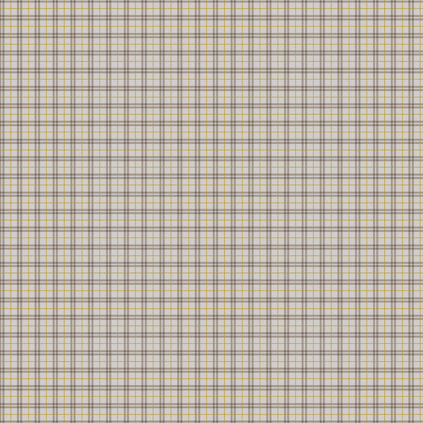 Winter Dreams -  Gingham, Taupe