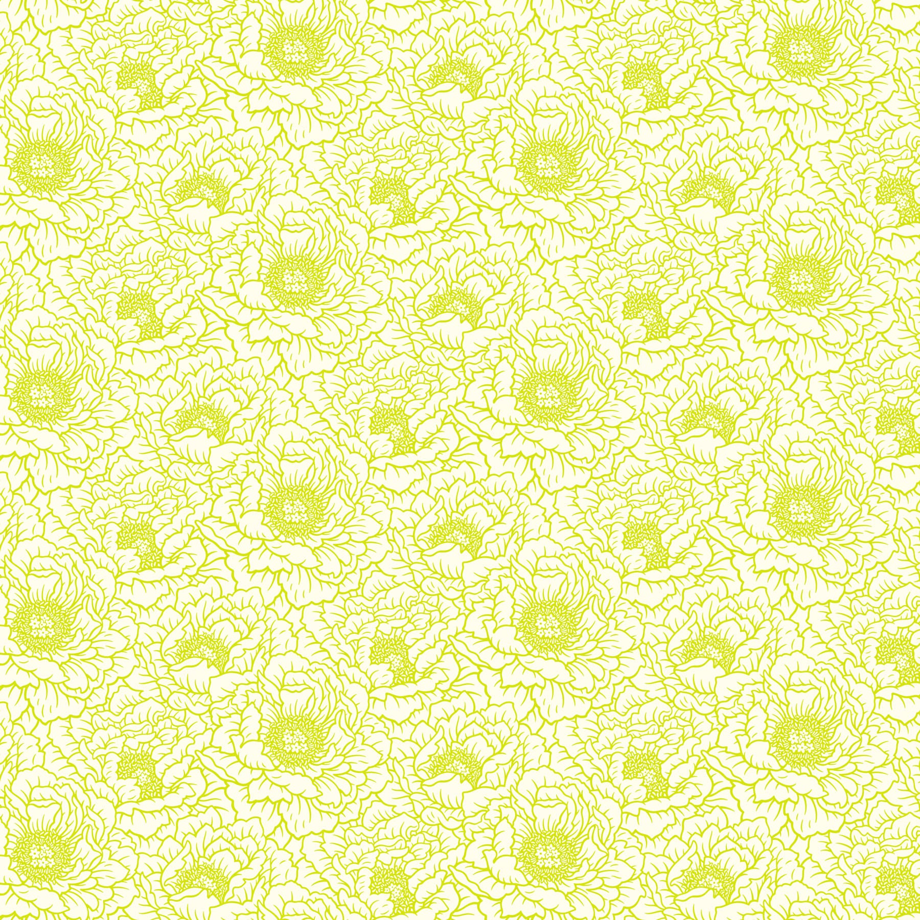 Full Bloom - Peony, Cream - Pre-Order