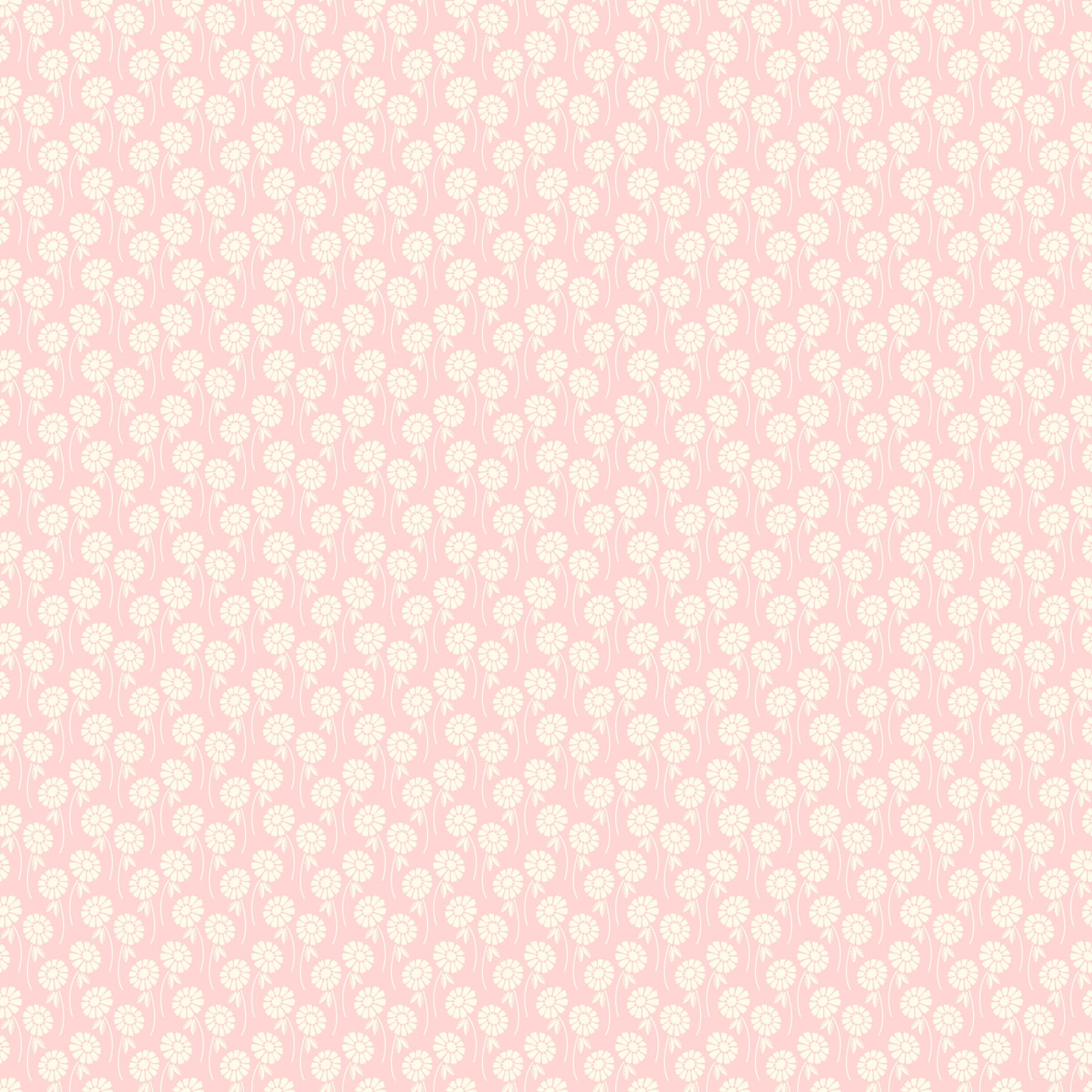 Pop Sugar - Upsy Daisy, Blush - Pre-Order