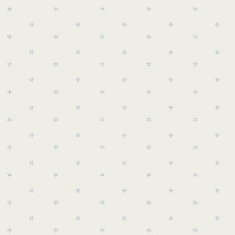 Pattern of small stars on a light gray background