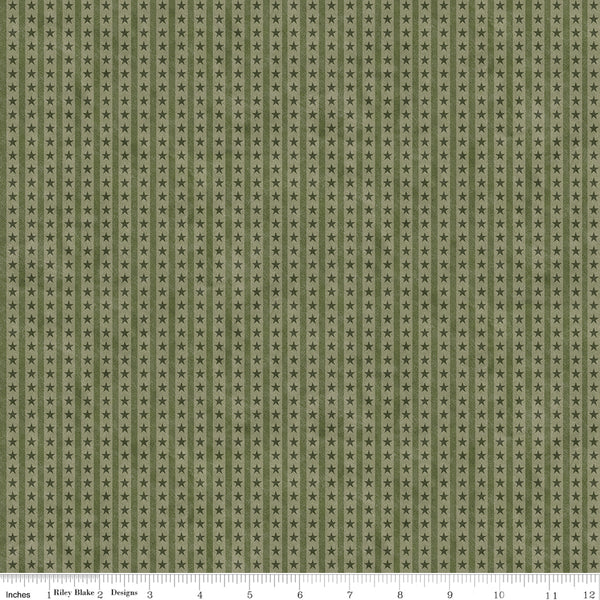 Fabric with star pattern on a green background