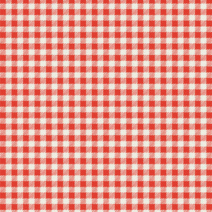 Red and white gingham quilting cotton