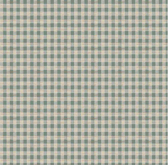 The Great Outdoors - Rustic Gingham, Teal